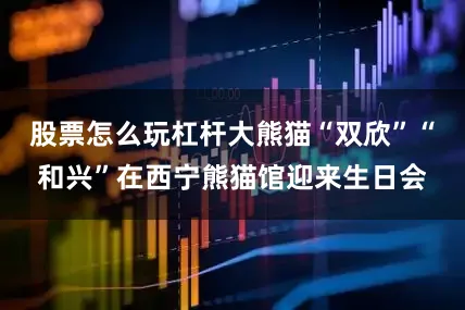 股票怎么玩杠杆大熊猫“双欣”“和兴”在西宁熊猫馆迎来生日会